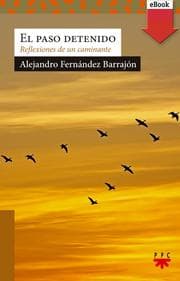 Cover von El paso detenido