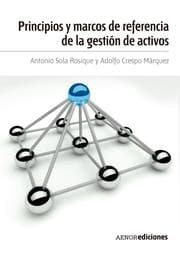 Cover von Principios y marcos de referencia de la gestión de activos