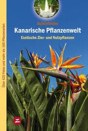 Cover von Kanarische Pflanzenwelt