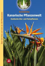 Cover von Kanarische Pflanzenwelt