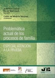 Cover von Problemática actual de los procesos de familia