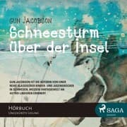 Cover von Schneesturm über der Insel (Ungekürzt)