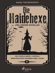 Cover von Die Haidehexe