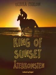 Cover von King of Sunset : återkomsten