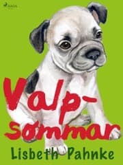 Cover von Valpsommar