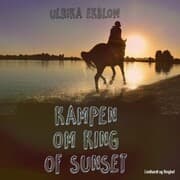 Cover von Kampen om King of Sunset