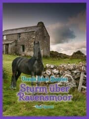 Cover von Sturm über Ravensmoor