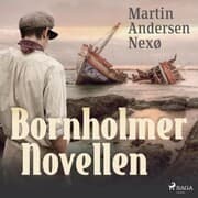 Cover von Bornholmer Novellen (Ungekürzt)