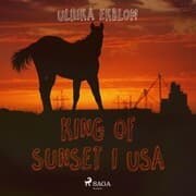 Cover von King of Sunset i USA