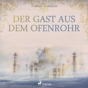 Cover von Der Gast aus dem Ofenrohr (Ungekürzt)