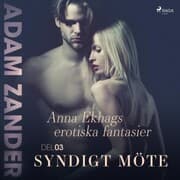 Cover von Syndigt möte - Anna Ekhags erotiska fantasier del 3