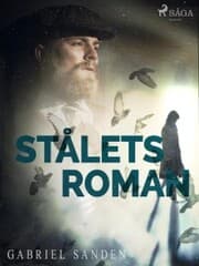 Cover von Stålets roman