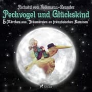 Cover von Pechvogel und Glückskind. 5 Märchen aus 'Träumereien an französischen Kaminen'