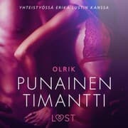 Cover von Punainen timantti - eroottinen novelli