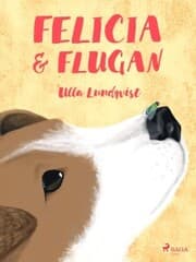 Cover von Felicia och flugan