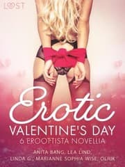 Cover von Erotic Valentine's Day - 6 eroottista novellia