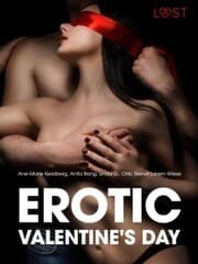Cover von Erotic Valentine's Day - 6 erotiske historier