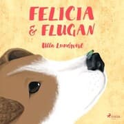 Cover von Felicia och flugan