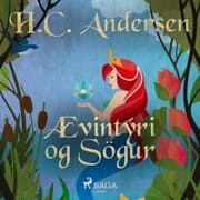 Cover von Ævintýri og Sögur