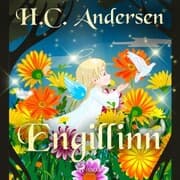 Cover von Engillinn
