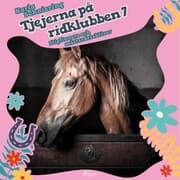 Cover von Tjejerna på ridklubben 7 - Stigfinnare och mästerdetektiver