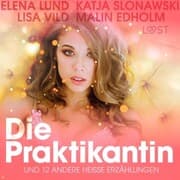 Cover von Die Praktikantin und 12 andere heiße Erzählungen