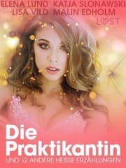 Cover von Die Praktikantin und 12 andere heiße Erzählungen