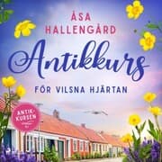 Cover von Antikkurs för vilsna hjärtan