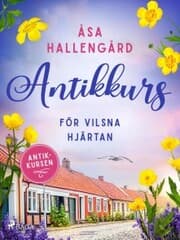 Cover von Antikkurs för vilsna hjärtan