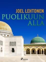 Cover von Puolikuun alla