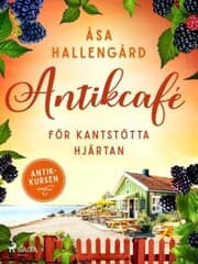 Cover von Antikcafé för kantstötta hjärtan