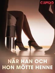 Cover von När han och hon mötte henne
