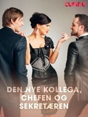 Cover von Den nye kollega, chefen og sekretæren