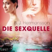 Cover von Die Sexquelle - Erotische Novelle