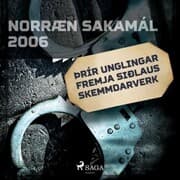 Cover von Þrír unglingar fremja siðlaus skemmdarverk