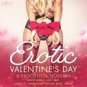 Cover von Erotic Valentine's Day - 6 eroottista novellia