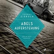 Cover von Abels Auferstehung (Paul Stainer 2)