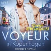 Cover von Ein Voyeur in Kopenhagen 2 - Erotische Novelle
