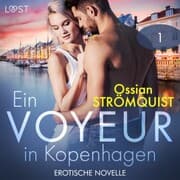 Cover von Ein Voyeur in Kopenhagen 1 - Erotische Novelle