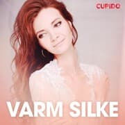 Cover von Varm silke - erotiske noveller