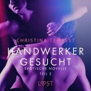 Cover von Handwerker gesucht - Teil 2: Erotische Novelle