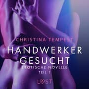 Cover von Handwerker gesucht - Teil 1: Erotische Novelle