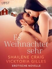 Cover von Es Weihnachtet sehr - Erotische Novelle