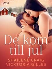 Cover von De kom till jul - erotisk julnovell