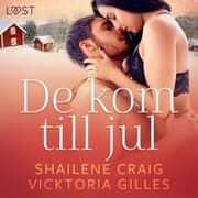 Cover von De kom till jul - erotisk julnovell