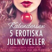 Cover von Kalendersex - 5 erotiska julnoveller