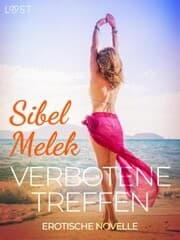Cover von Verbotene Treffen - Erotische Novelle