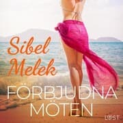 Cover von Förbjudna möten - erotisk novell