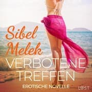 Cover von Verbotene Treffen - Erotische Novelle