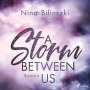 Cover von A Storm Between Us